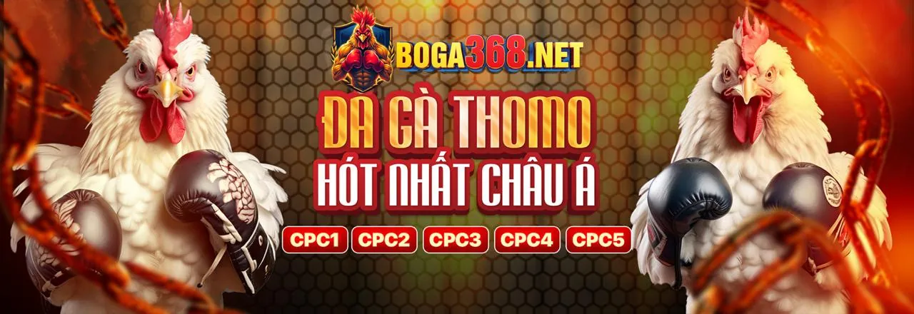 Đá Gà Trực Tuyến Hấp Dẫn tại bay789 nhà cái